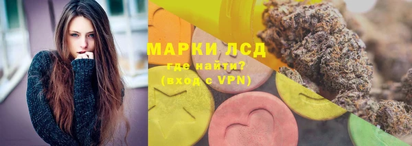 дурь Бердск