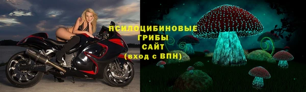 прущие грибы Орехово-Зуево