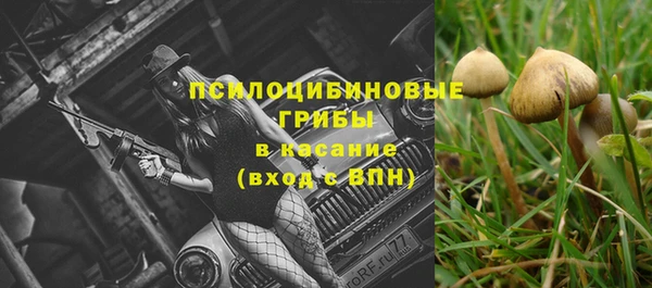амф Арсеньев