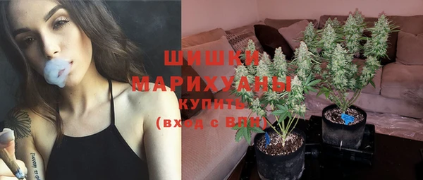 амф Арсеньев
