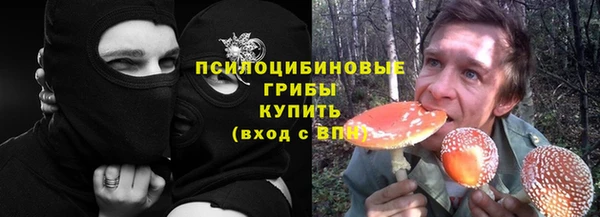 амф Арсеньев