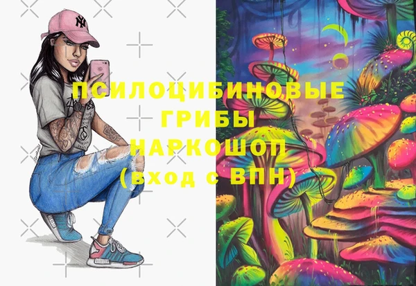 бошки Армянск
