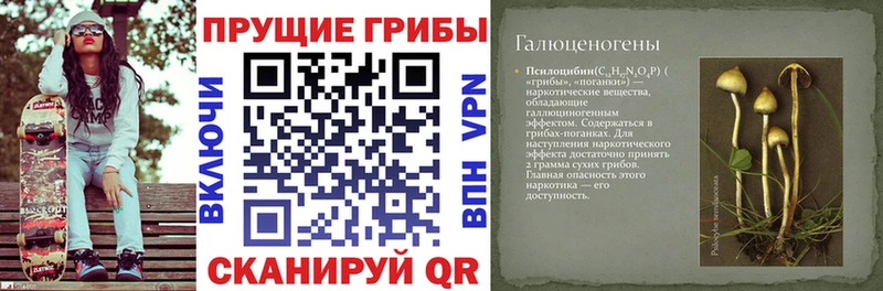 Галлюциногенные грибы GOLDEN TEACHER Белоярский